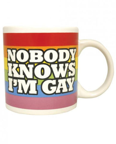Attitude Mug Nobody Knows I'm Gay Rainbow Cup