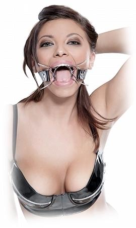 Fetish Fantasy Extreme Spider Gag O-S