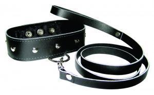 Sportsheets Leather Leash and Collar