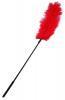 Body tickler ostrich feather - red