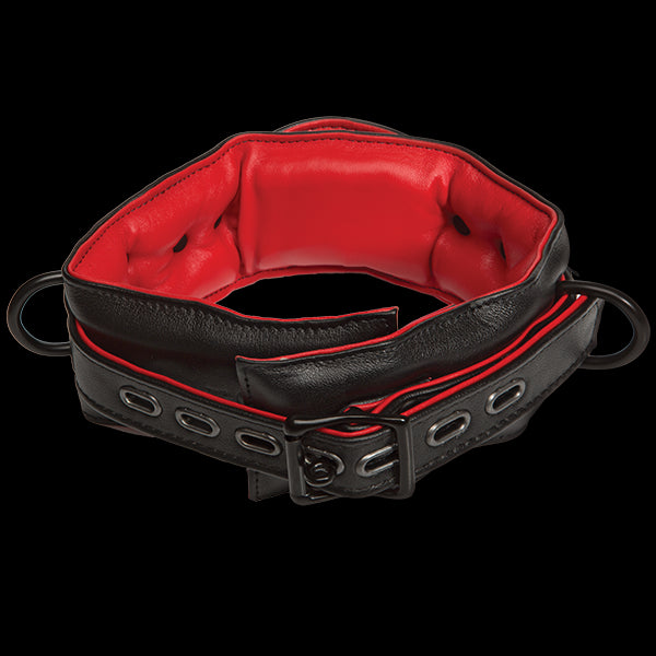 Kink Leather Handler's Collar Black Red