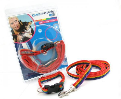 Gaysentials Pet Collar and Leash Set Small