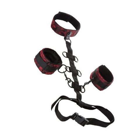 Scandal Collar Body Restraints